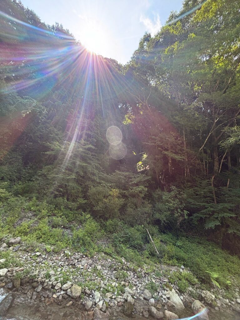 夏の自然風景