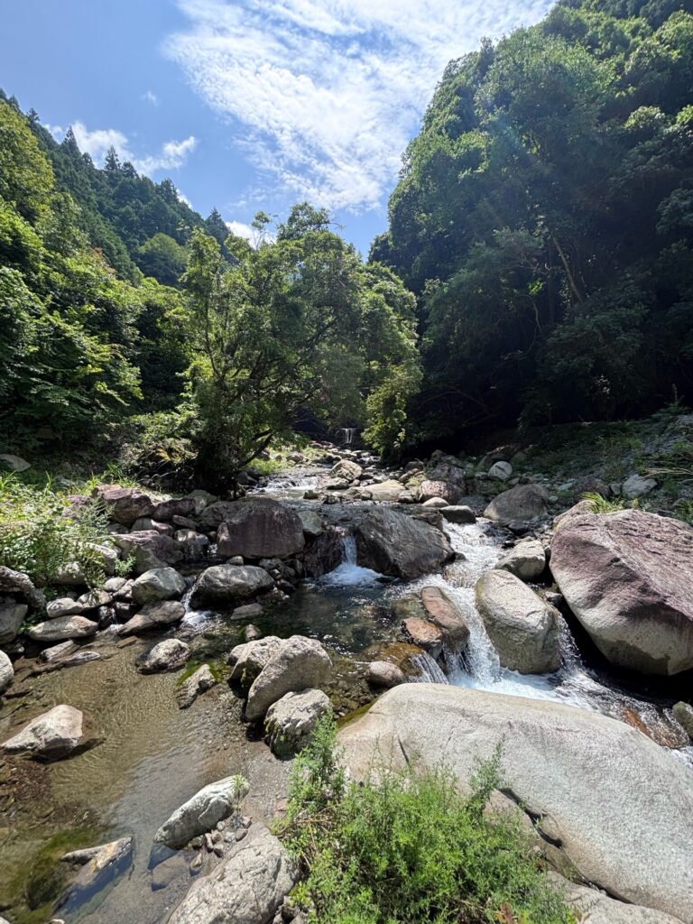 夏の自然風景
