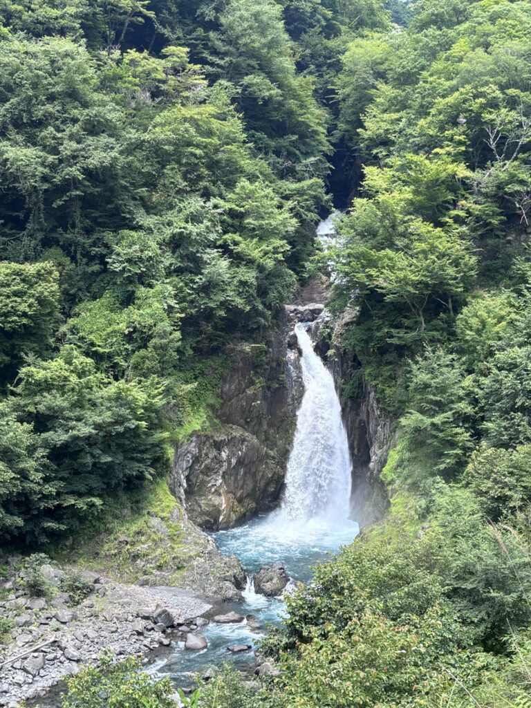 夏の自然風景